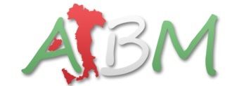 AIBM Logo